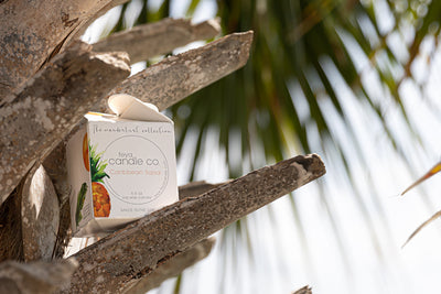 Feya Wanderlust Collection : Haitis' Caribbean Salsa